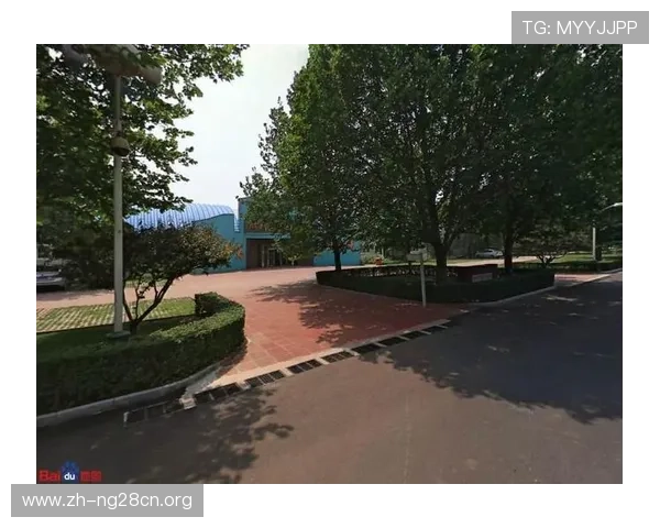 南宫体育平台如何实现高效赛事直播:技术支持与内容优化的关键要点