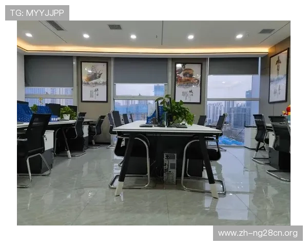 南宫国际站为中小企业提供的多元化服务与合作机会详解