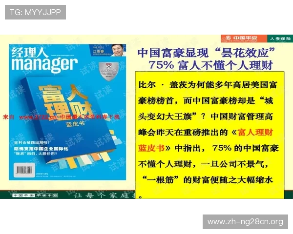 如何合理运用富贵三宝规则实现游戏中的财富最大化